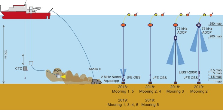 Plume Analysis System