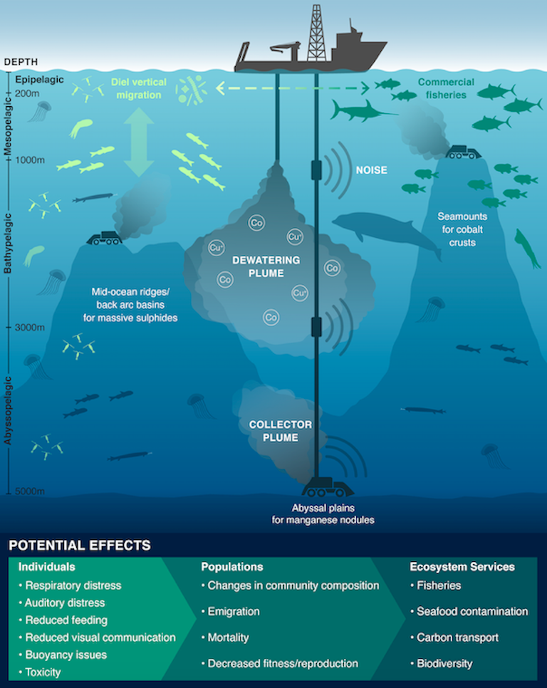 Sediment Plume Monitoring